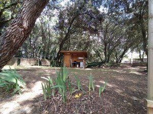 Emplacement avec salle de bain privative