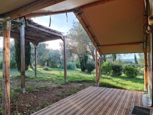 Tente Safari Oliviers_3