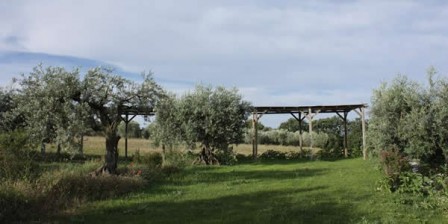 Pitch with canopy