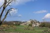 Village Mane