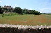 Coquelicot à l'entrée du hameau les pourcelles