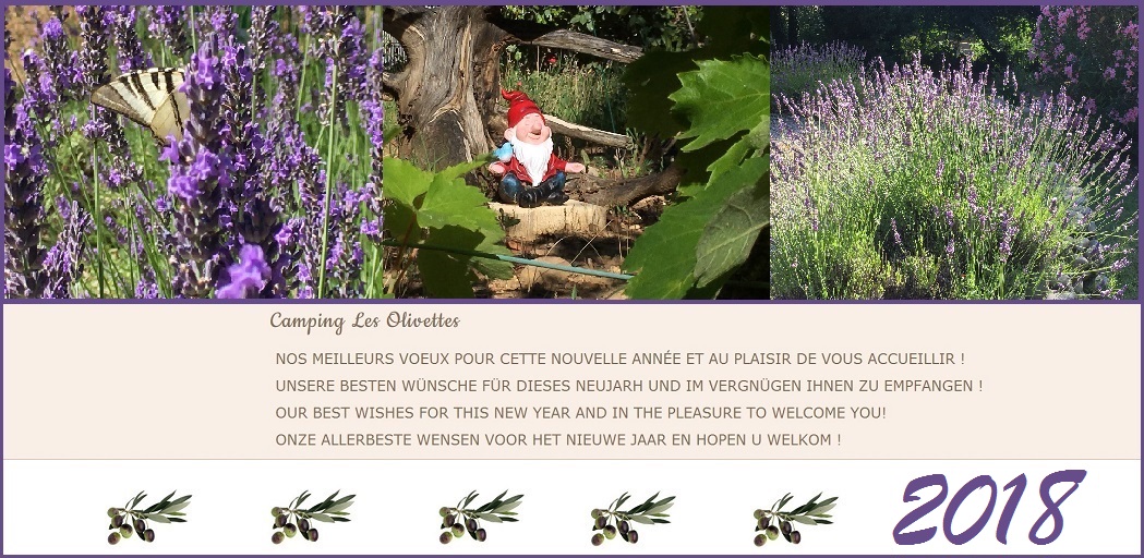 Voeux2018.jpg
